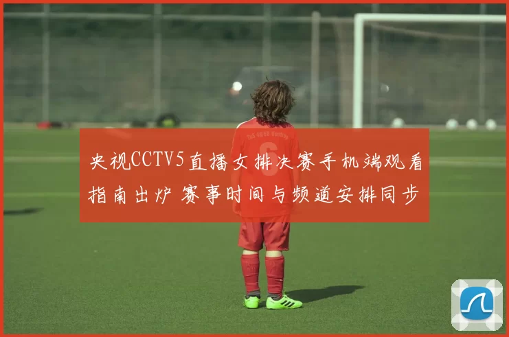 央视CCTV5直播女排决赛手机端观看指南出炉 赛事时间与频道安排同步公布