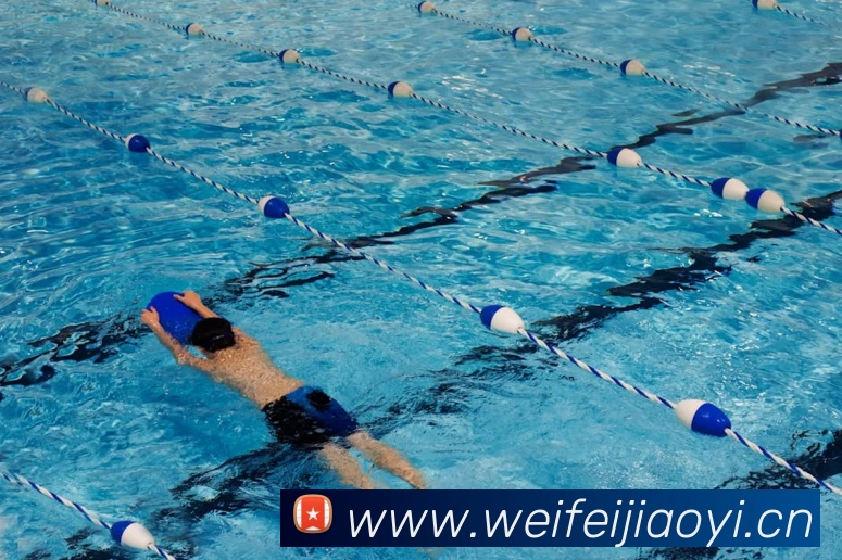 开云·kaiyun体育(中国)官方网站 - 登录入口服务体系